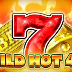 WILD HOT 40 game icon